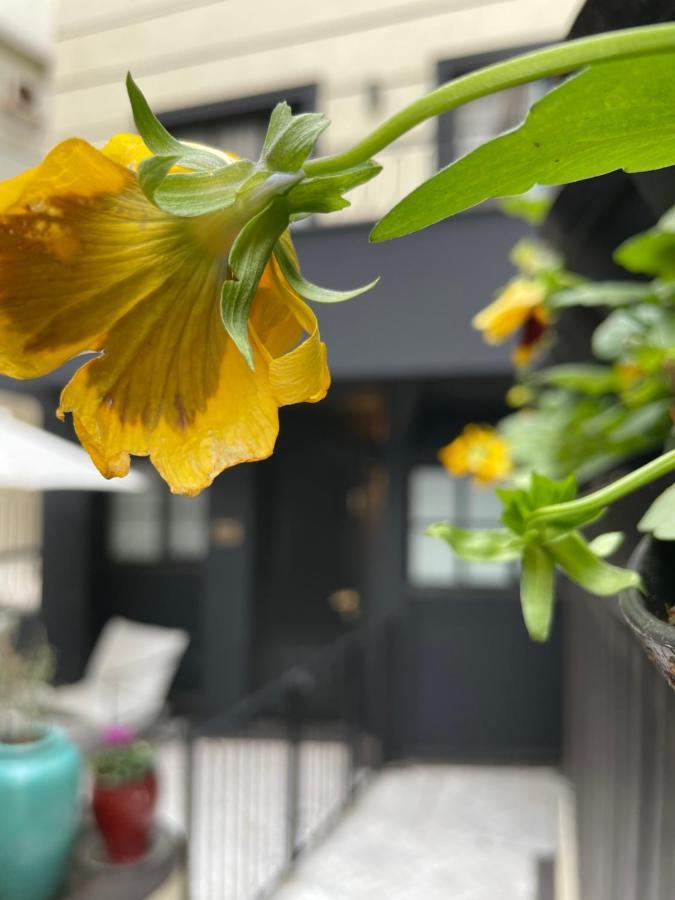 Villa Brown Tel-Aviv, A Member Of Brown Hotels Екстер'єр фото